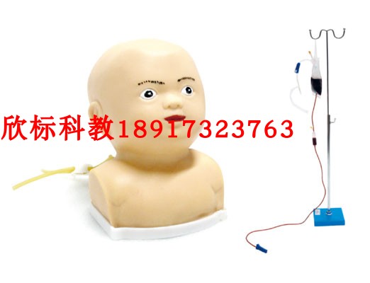高级婴儿头部综合静脉穿刺模型 婴儿头皮静脉穿刺模型