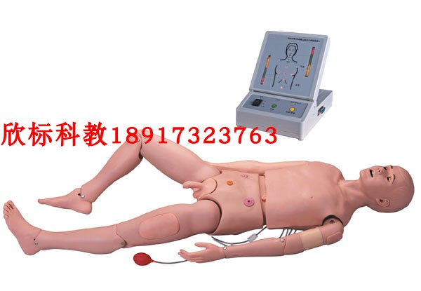 高级成人护理及CPR模拟人心肺复苏急救护理模型成人护理及CPR模型