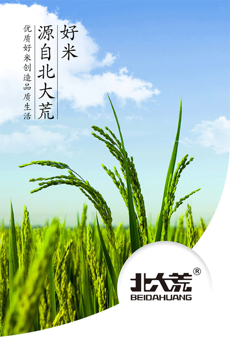 北大荒東北大米四季香米