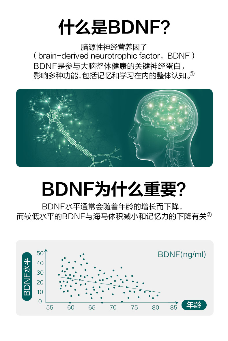 【王昱珩同款】neuriva脑动力plus脑活素