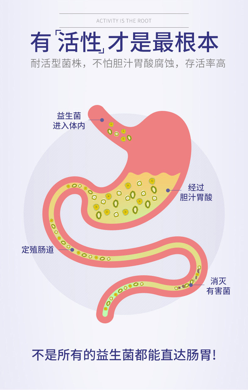 美国进口 NOW 益生菌胶囊 60粒 杜邦专利菌株 养护肠胃健康 图6