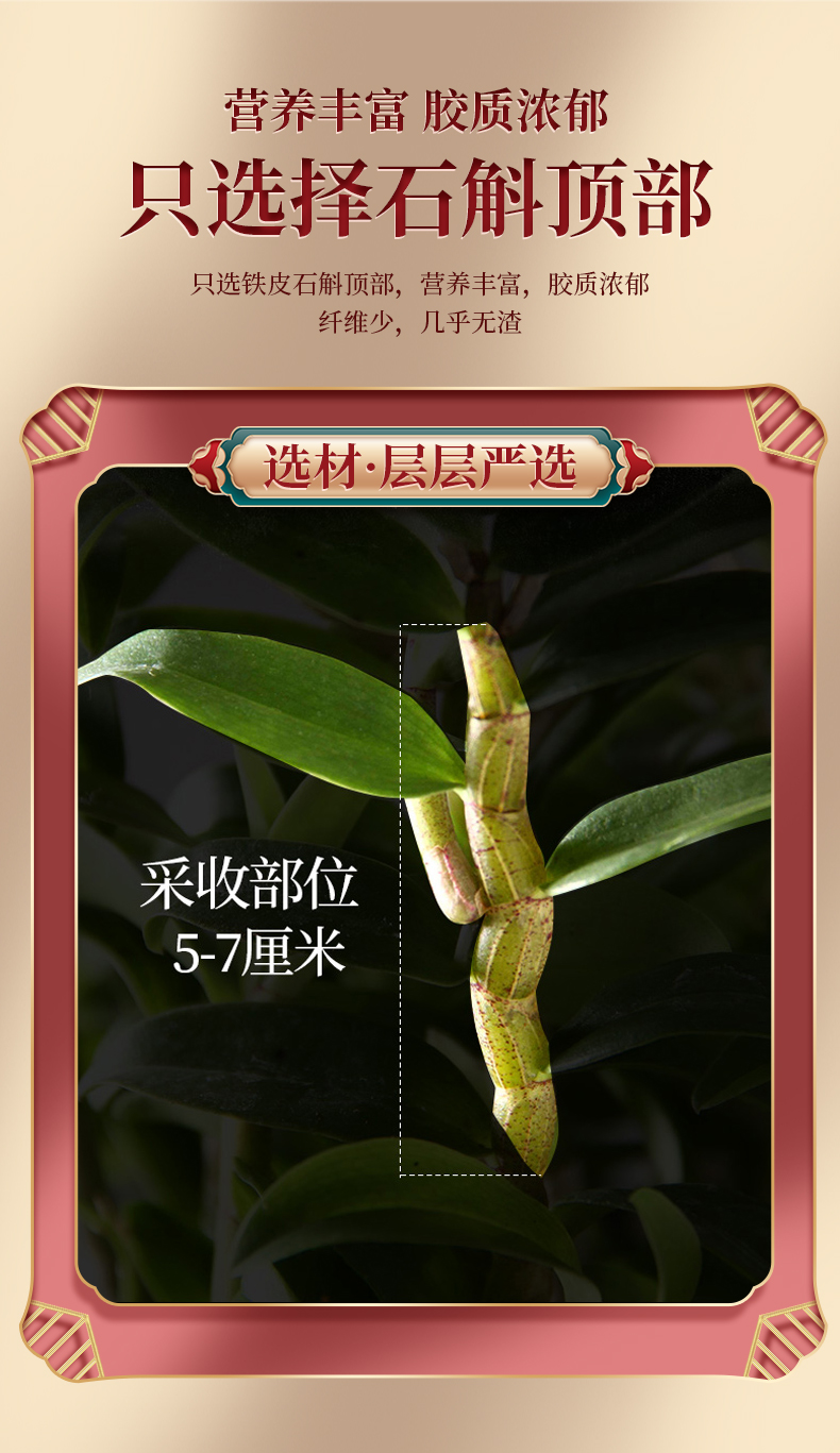 阿里健康自营 亚戈玛 正宗浙江乐青铁皮石斛 8g 图9