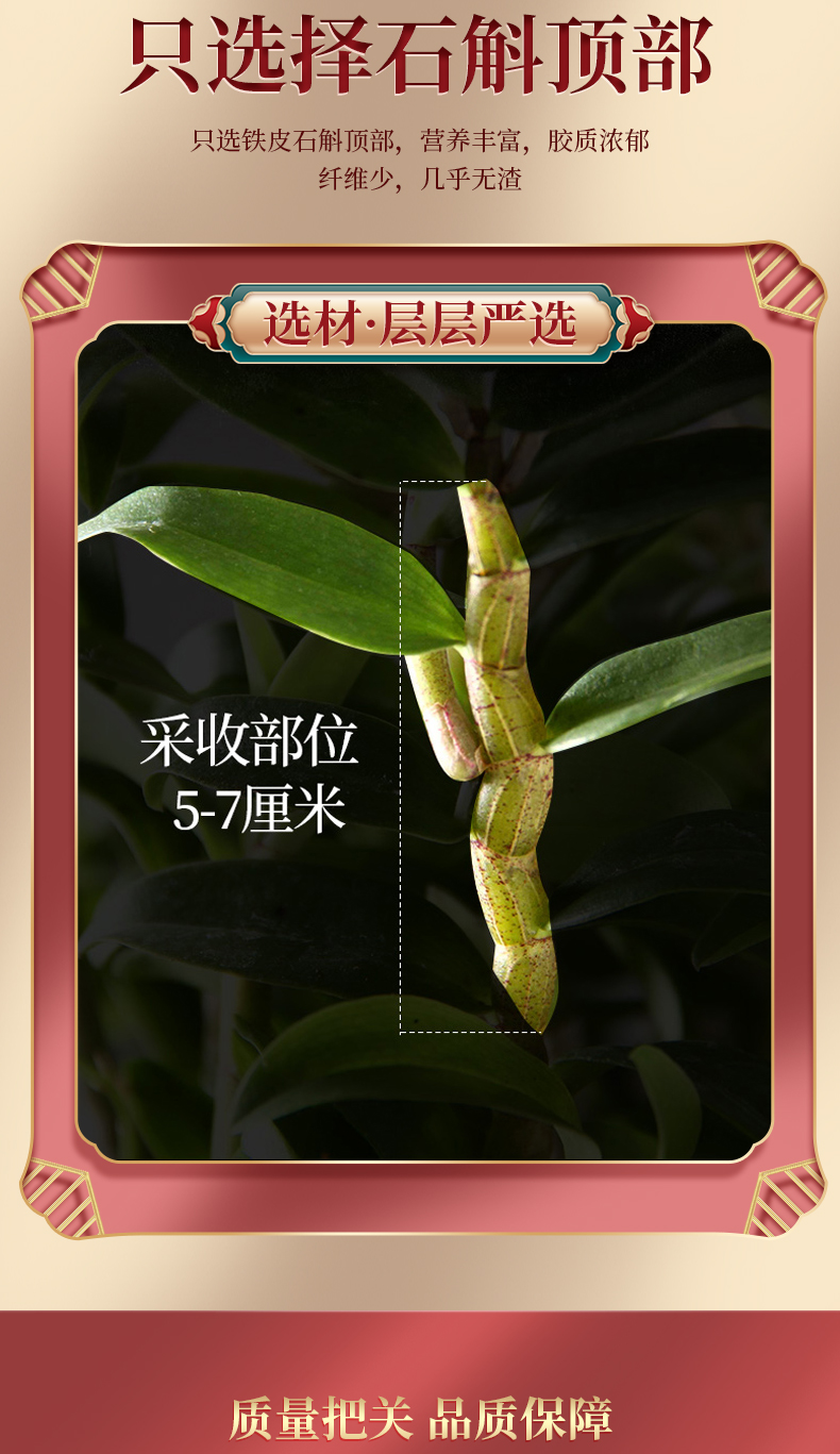 阿里健康自营 亚戈玛 正宗浙江乐清铁皮石斛 30g*2件 图6