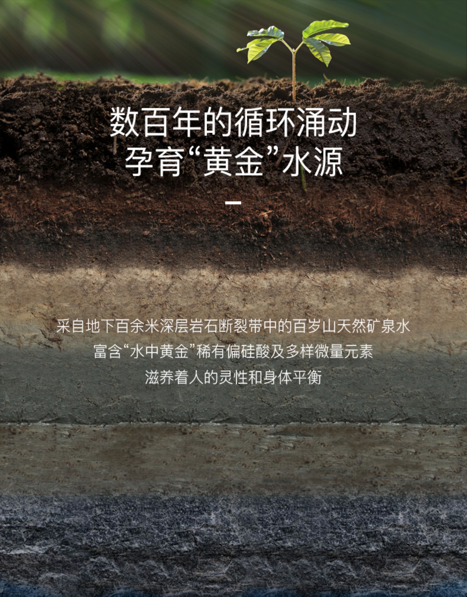 中高端水 百岁山 天然矿泉水 570ml*24瓶 图5