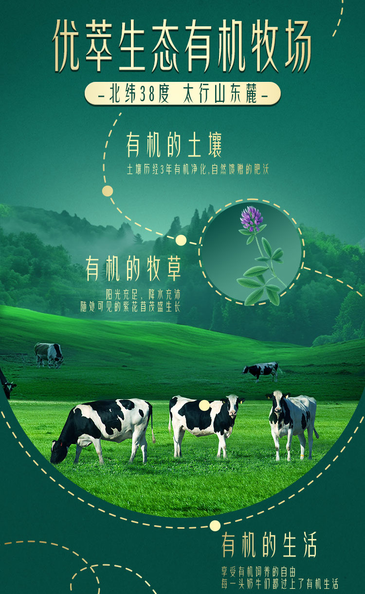 安享好物 安享A级纯奶-君乐宝优萃 鲜甜 有机纯牛奶 国标