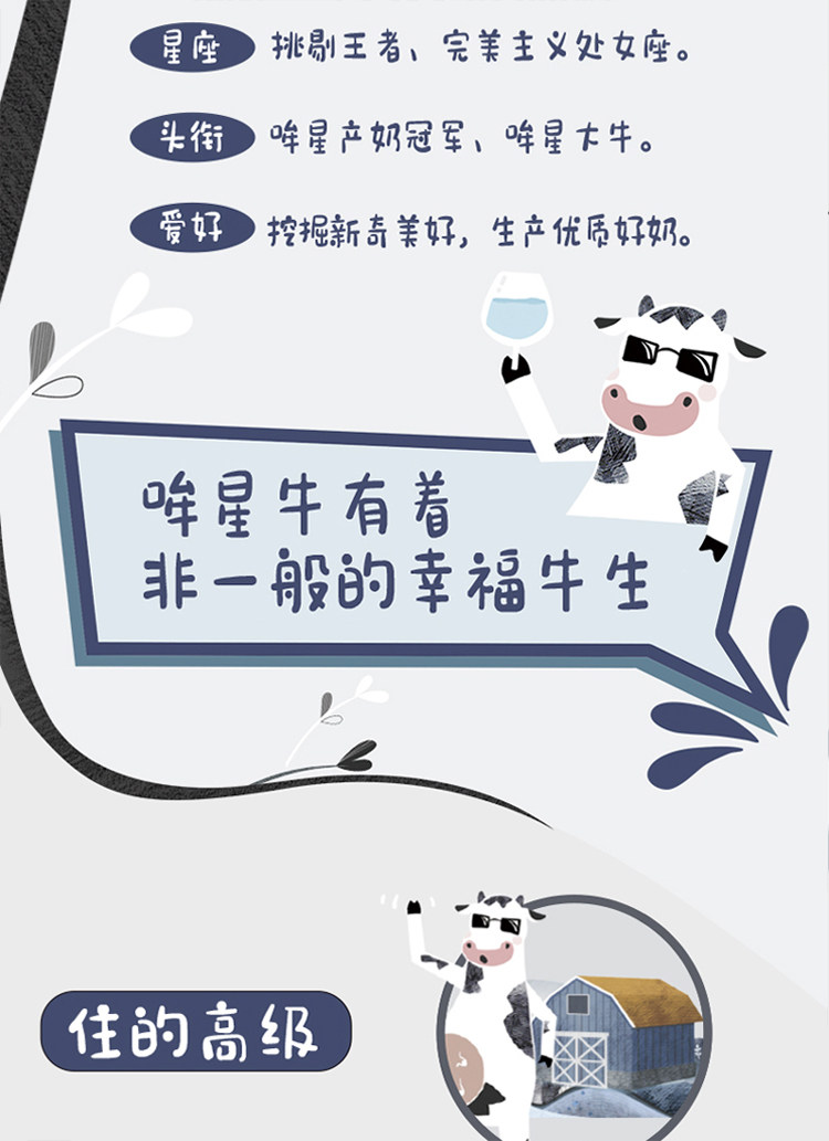 安享好物 安享B级纯奶-君乐宝遇见奶牛纯牛奶 国标 