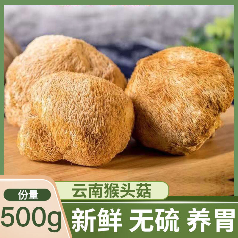 Yunnan Plateau Teryield farmhouse Self-planted Monkey Head Mushrooms Dry Goods Fresh and Sulphur-Free Stomach new Monkey Head Mushrooms 500g