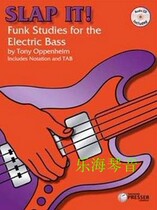 Slap It Funk Studios for the Electric Bass bass tips psy
