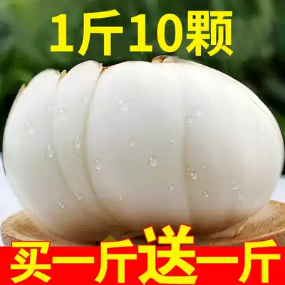 Aviation 5-headed Emperor Vacuum boutique fresh lily Lanzhou special raw lily Fresh edible sweet white 500g