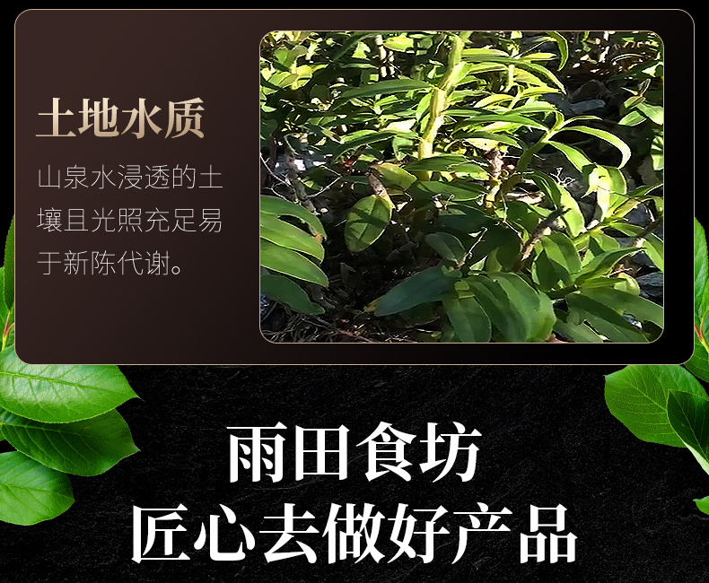 铁皮石斛花茶霍山石斛粉