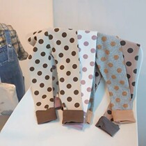 Texture thick and very Hans Po dots ~ pure cotton beats bottom pants Korean baby boy clothing male and female baby girl spring and autumn new