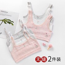Hair Growing Period Little Vest Girl Girl Underwear Girl Underwear Great Boy 9-16 Year Old Girl Junior High School Girl Elastic Bra