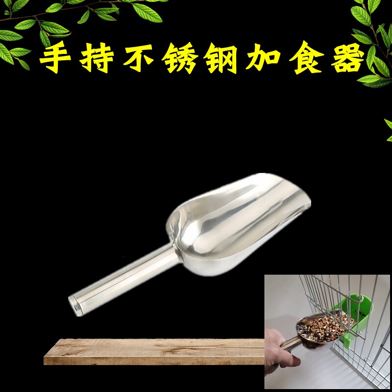 Stainless steel carnivators parrot birds with added food spoons feeding tools to feed the bird feed spoon feeder 8 Gothic