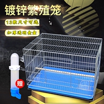  Parrot bird cage Medium and large flying galvanized starling tiger skin peony bold breeding breeding large bird cage