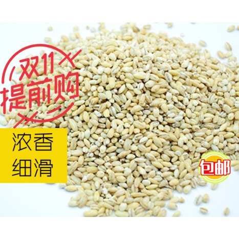 5 catty Cooked Barley Now Mill Soybean Milk Raw Material Can Bulk Low Temperature Bake Five Grain Cereals Grinding Powder 2500g