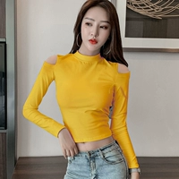 Рыжий, высокий воротник