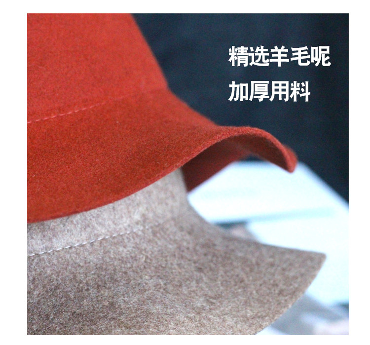 Chapeau pour femme      en Poilue - Ref 3234105 Image 28