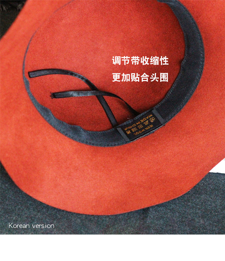 Chapeau pour femme      en Poilue - Ref 3234314 Image 28