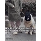 Шлем, демисезонная удерживающая тепло шапка, защищающая от холода маска