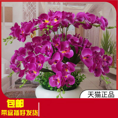 Home Plastic Flower Office Wine Cabinet Artificial Dining Room butterfly Lanting room emulated flower fake flower silk flower balcony for photo