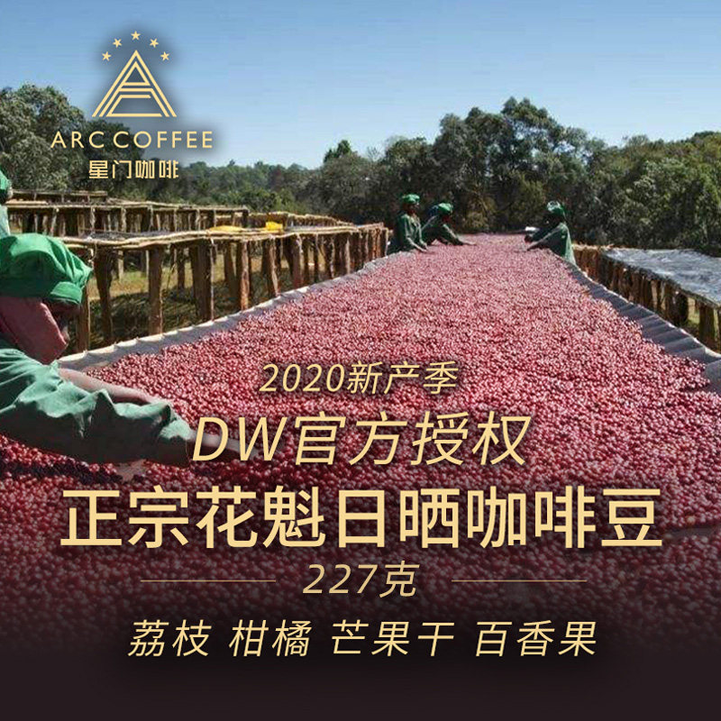 Stargate Ethiopia Flower Quit sun G1 Coffee bean hambe handle for a single fresh baked pep 227g