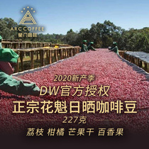 Stargate Ethiopia Oiran Sun-dried G1 Coffee Bean Humbera hand-washed single Fresh Baked 227g