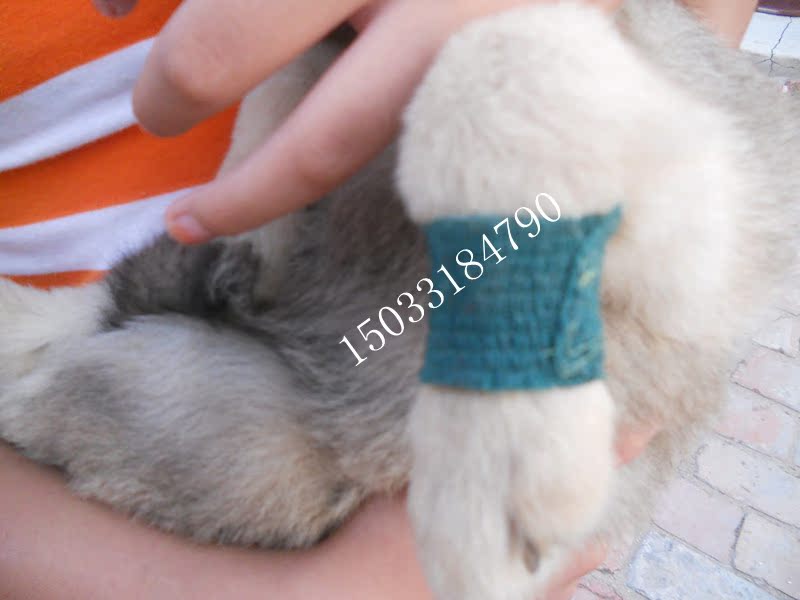 Protection sport - Ref 585333 Image 30