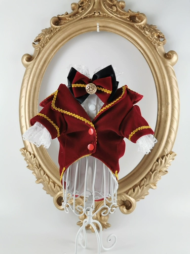 Вампир Эрл Гонг Собаки Семья Семья Медведь медведь личная кошка коба рубашка для любимой собаки собака и костюм для собак