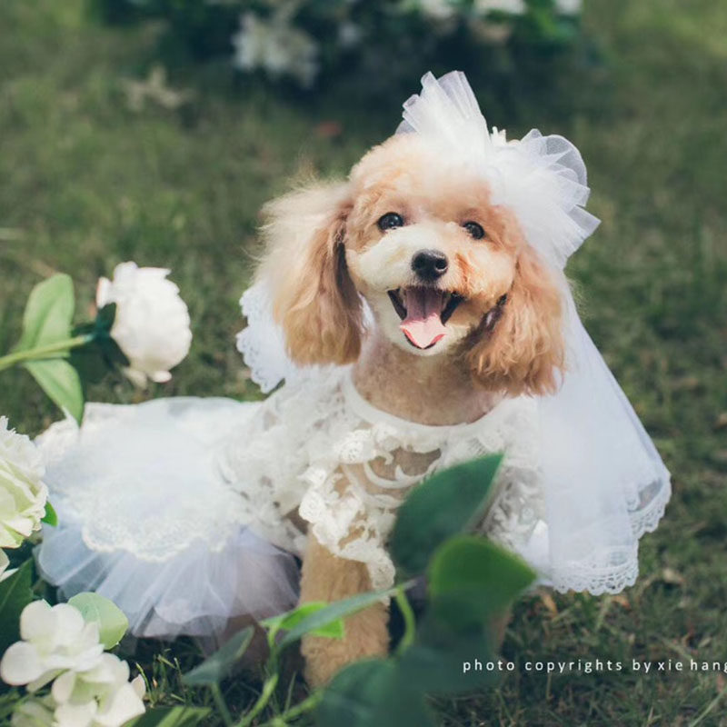 Private pet hand-made hollow three-dimensional flower pet dog skirt cat dog wedding pet clothes thin pet wedding dress