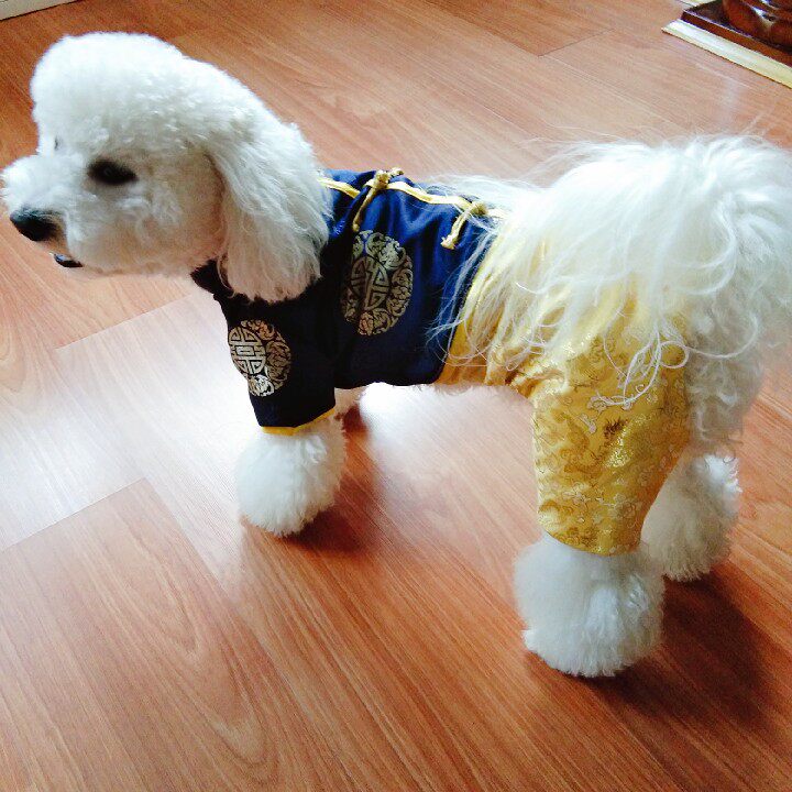 Brocade four-legged clothing for male dogs pet four-legged clothing dog four-legged clothing four-legged Tang suit custom can be made red