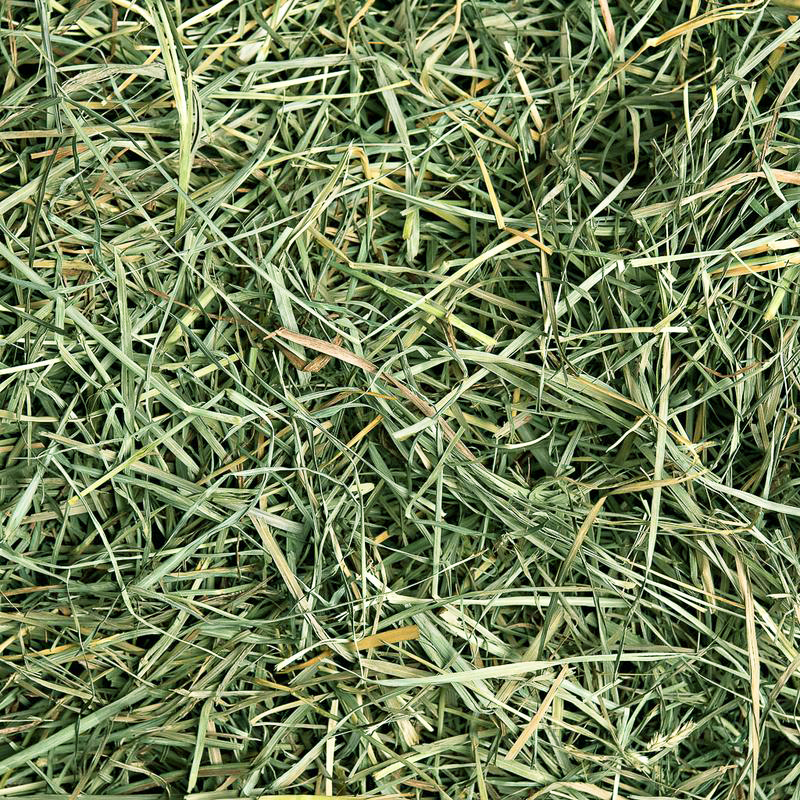 Shelf life February, 2023 SPS Alpine fruit tree grass ultra-fragrant to digest 100 gr clothes beyond the APD