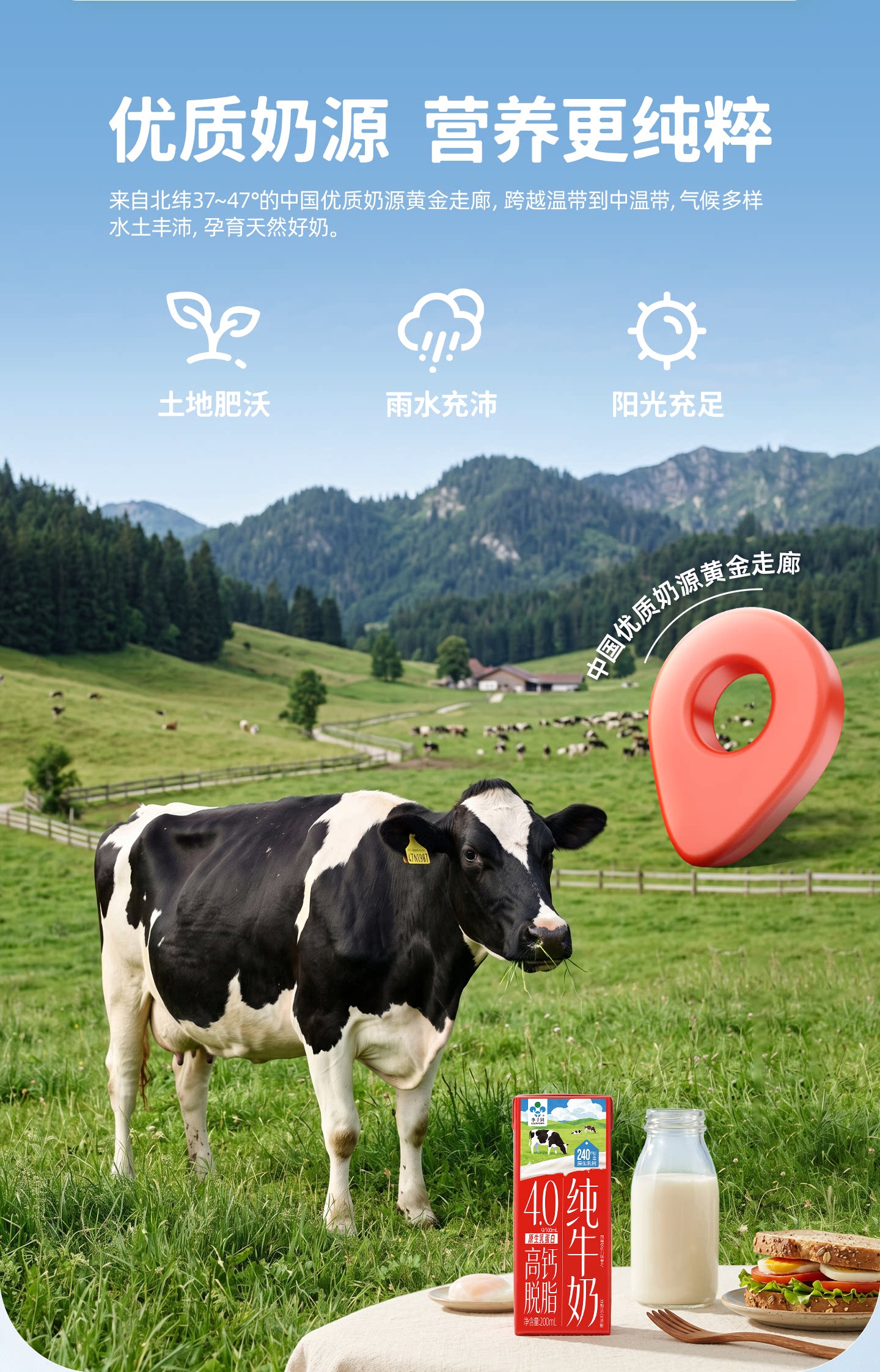 安享好物 安享B级纯奶-李子园高钙 脱脂纯牛奶 国标 