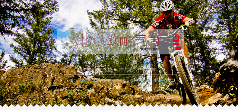 Pompe à vélo HONOR - Ref 2389804 Image 5