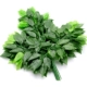 Cây mô phỏng dây leo dây mây trong nhà trang trí đám cưới cây giả hoa cảnh cây nho treo tường cành cây dây leo khô - Hoa nhân tạo / Cây / Trái cây lá cây giả
