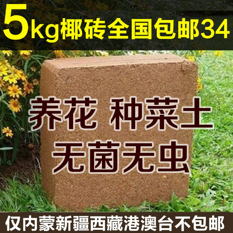 Large Coconut Brick 4 5 kg Organic Vegetable Soil Multimeat Broccoli Soil Nutraceutical Broccoli Coconut Powder Coconut