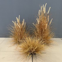 Withered grass simulated foxtail pile potted grass landscaping weed Pennisetum green plant fake grass fur ornaments grass ball