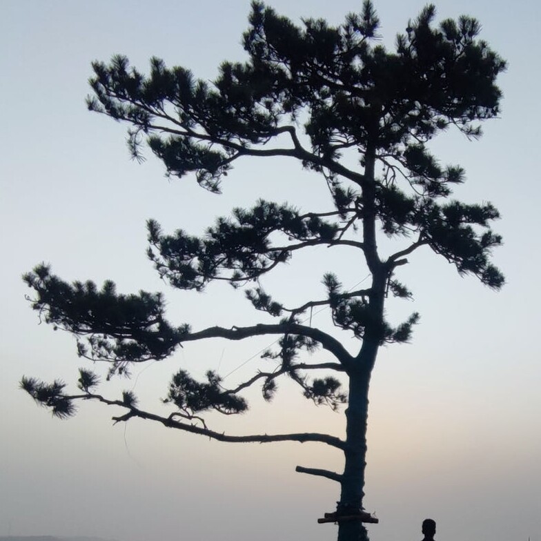 无痕山野户外用品