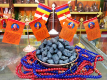 Yaqing Dabao Fu Zang Mi Di Tsa Tsa