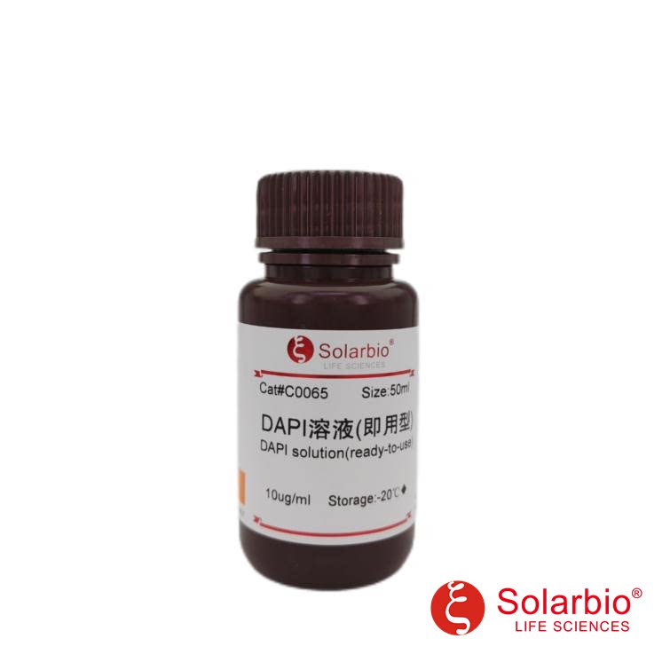 索莱宝DAPI溶液(10ug/ml，即用型)C0065-10ml