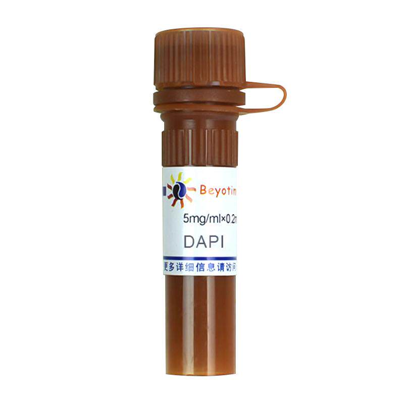 碧云天DAPIC1002