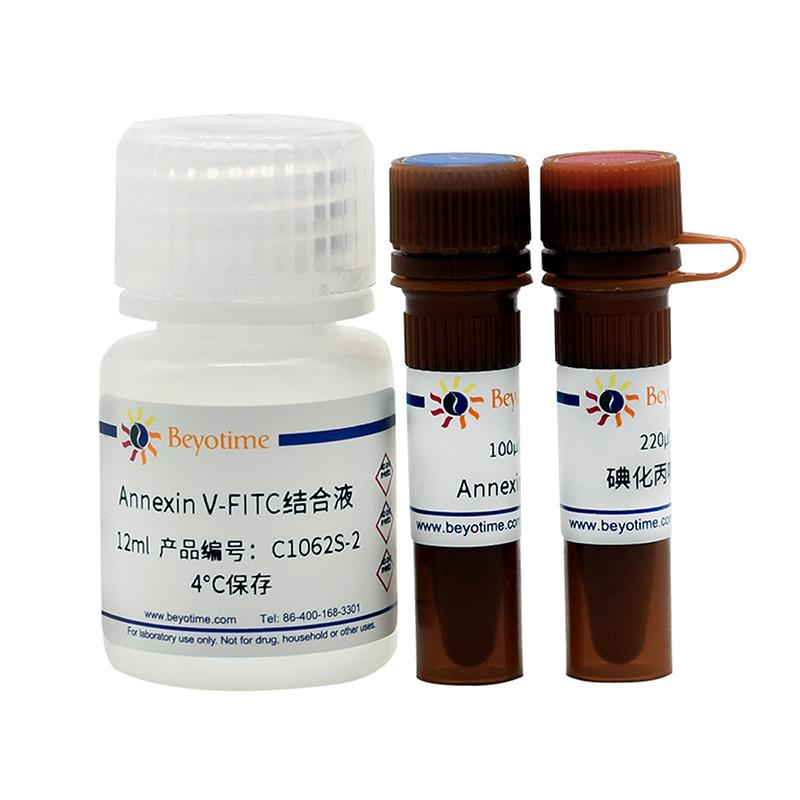 碧云天Annexin V-FITC细胞凋亡检测试剂盒C1062