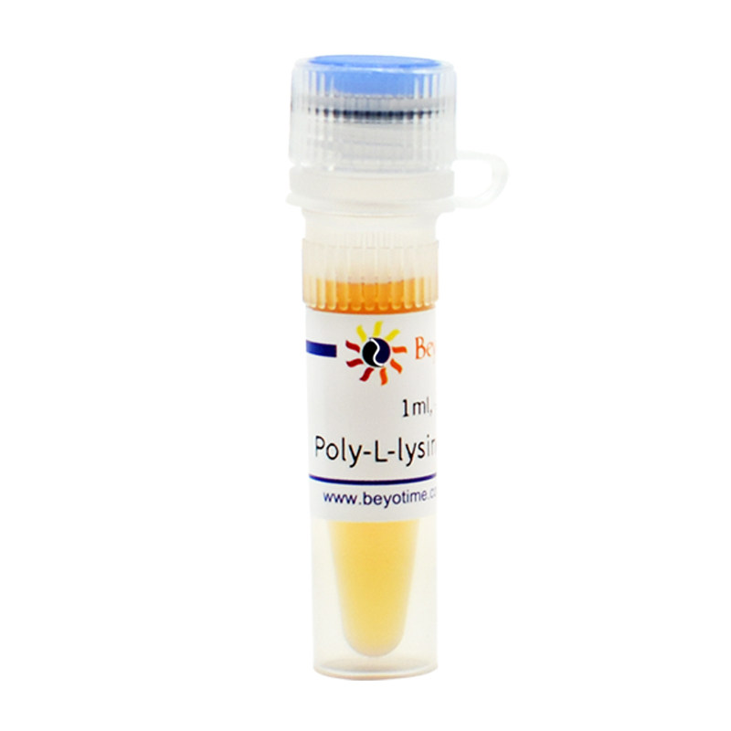 碧云天Poly-L-lysine溶液C0313