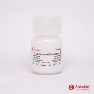 索莱宝谷胱甘肽（还原型）G8180-5g