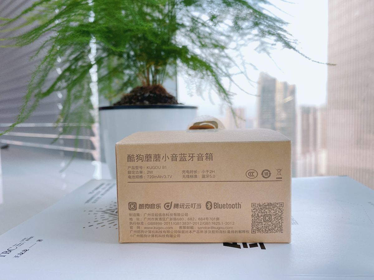蓝牙小音箱怎么选？语音DJ闪灯我全都要