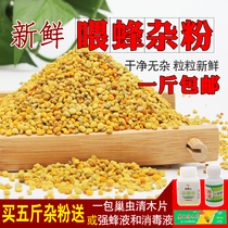 Rapeseed pollen honey bee pollen feed beekeeping bee feeding bee substitute pollen beekeeping tool Miscellaneous powder granules