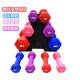Cast Iron Solid Dumbbells for Women's Home Fitness, a Pair of Youth Dumbbells, Solid Cast Iron Home Fitness Equipment for Arm Strength