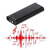 Portable Mini Digital Voice Recorders Pen Professional Clear