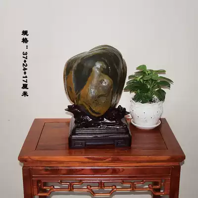 Wujiang stone Dharma ancestor pattern stone Natural stone picture stone Buddha collection gift natural strange stone rough stone ornaments