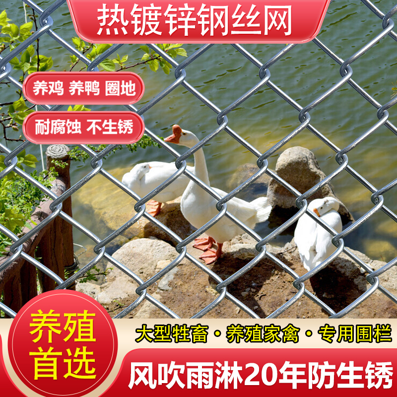 Hot-Dip Galvanized Iron Wire Mesh Fence, Protective Wire Mesh for Orchards, Vegetable Gardens, Chicken Pens, and to Keep Cattle and Sheep Contained, Rust-Free