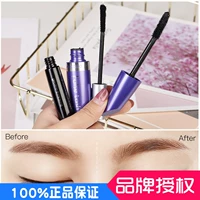 Nhà máy sản xuất mascara sợi gemen trực tiếp kết hợp dày mascara ghép siêu dày - Kem Mascara / Revitalash mascara maybelline tím